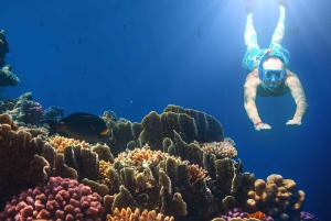 Bali Blaue Lagune Schnorcheln und Wasserfall Tour