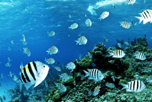 Bali Blaue Lagune Schnorcheln und Wasserfall Tour