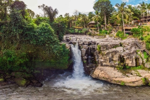 Bali Blaue Lagune Schnorcheln und Wasserfall Tour