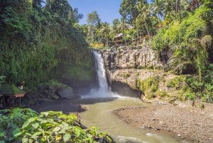 Bali Blaue Lagune Schnorcheln und Wasserfall Tour