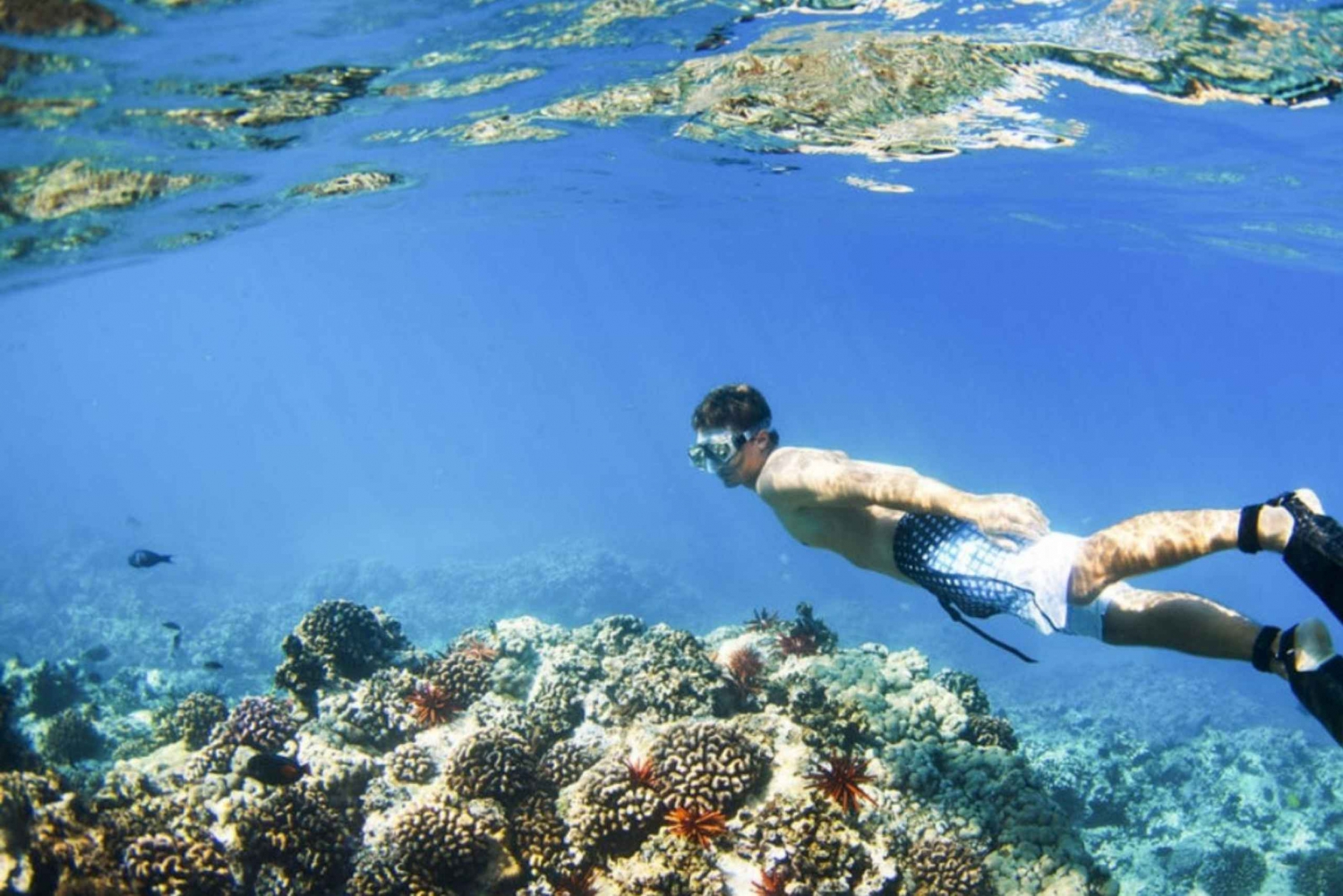 Bali: Snorkling i Blå lagunen inklusive lunch och transport