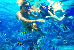 Bali: Blue Lagoon Snorkeling Inclusive of Lunch & Transport