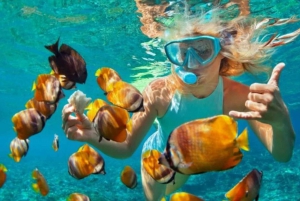 Bali: Blue Lagoon Snorkeling Inclusive of Lunch & Transport