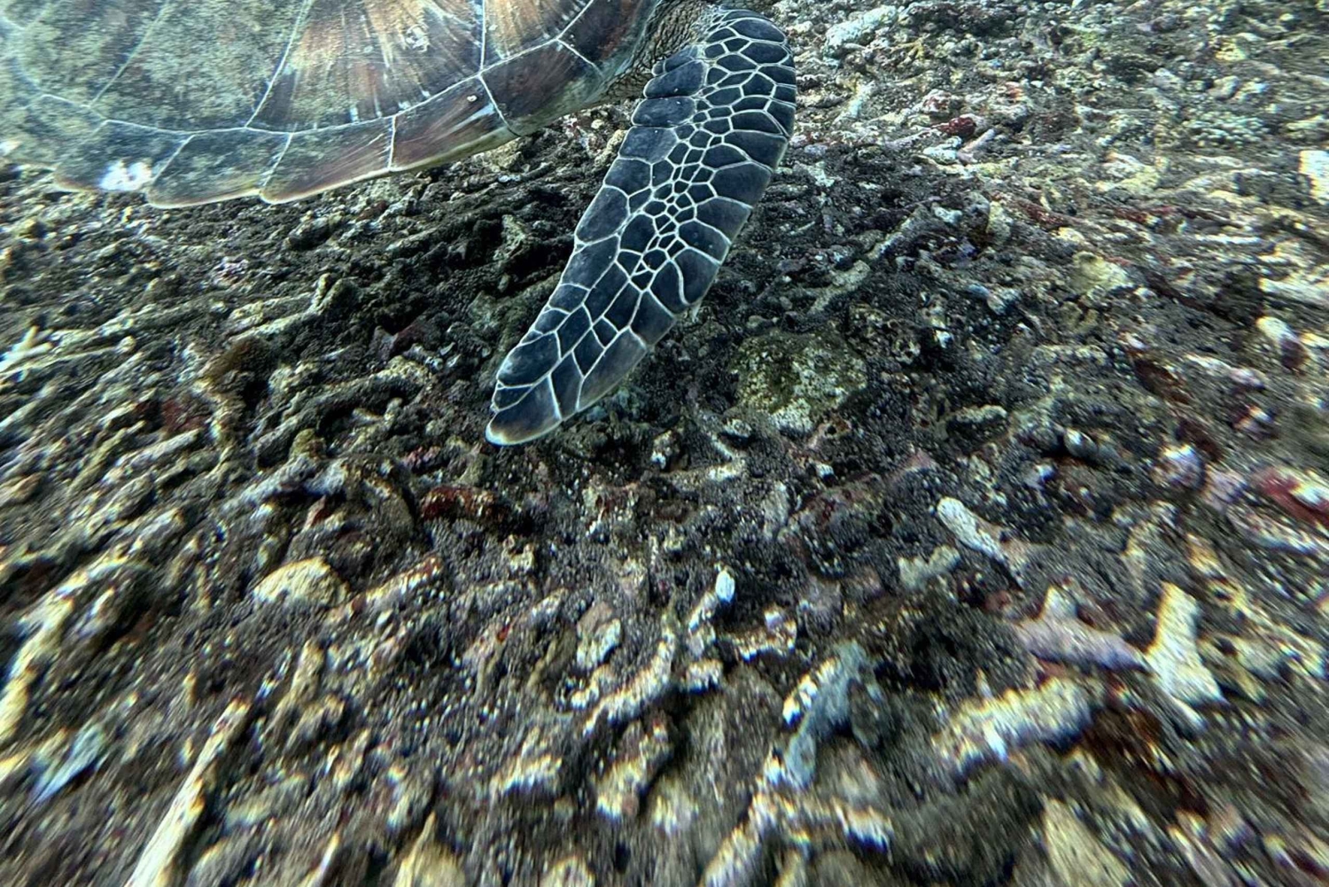 Bali: Blue Lagoon Snorkeling, Waterfall, and Plantation