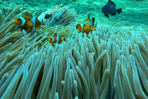 Bali: Blue Lagoon Snorkeling, Waterfall, and Plantation