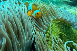 Bali: Blue Lagoon Snorkeling, Waterfall, and Plantation