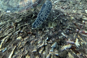 Bali: Blue Lagoon Snorkeling, Waterfall, and Plantation