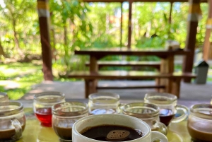 Bali: Blue Lagoon Snorkeling, Waterfall, and Plantation