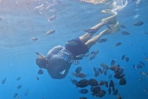 Bali: Snorkling i Den Blå Lagune, vandfald og tempeltur