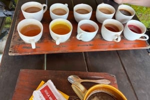 Bali: Snorkling i Den Blå Lagune, vandfald og tempeltur