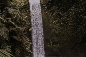 Bali: Blue Lagoon Snorkeling & Waterfalls Day Trip