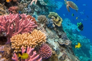 Bali: Blue Lagoon Snorkeling & Waterfalls Day Trip