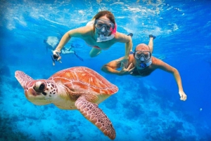 Bali Blue Lagoon Snorkeling with Lunch and Private Transfer