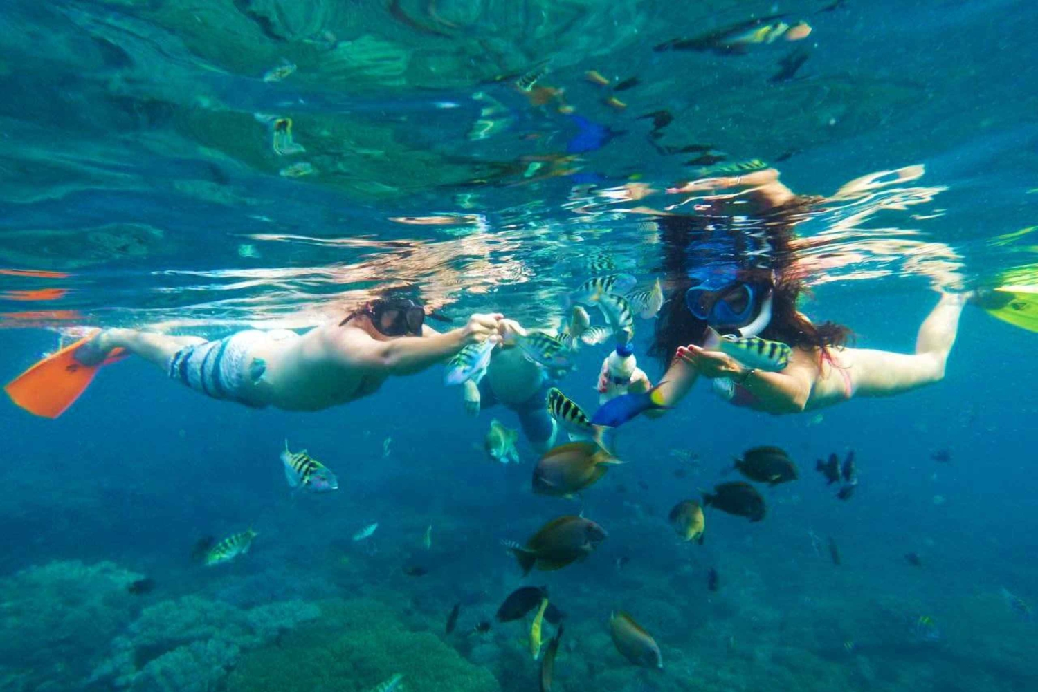 Bali: Snorkeling alla Laguna Blu con pranzo e trasporto