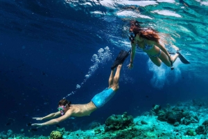 Bali: Snorkeling alla Laguna Blu con pranzo e trasporto