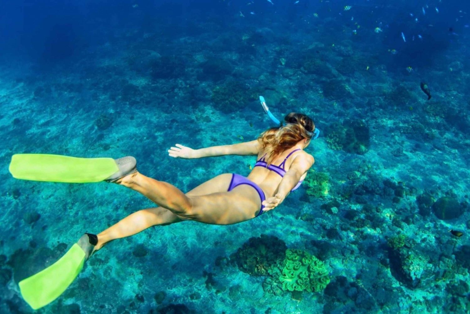 Bali: Snorkel en Blue Lagoon y Tanjung Jepun con almuerzo incluido.