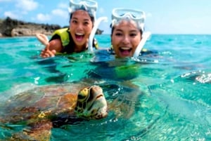 Bali: Blue Lagoon & Tanjung Jepun Snorkeling with Lunch