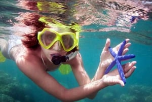 Bali: Blue Lagoon & Tanjung Jepun Snorkeling with Lunch