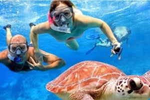 Bali: Blue Lagoon & Tanjung Jepun Snorkeling with Lunch