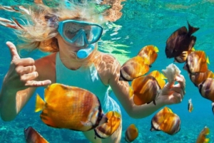 Bali: Blue Lagoon & Tanjung Jepun Snorkeling with Lunch