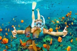 Bali: Blue Lagoon & Tanjung Jepun Snorkeling with Lunch