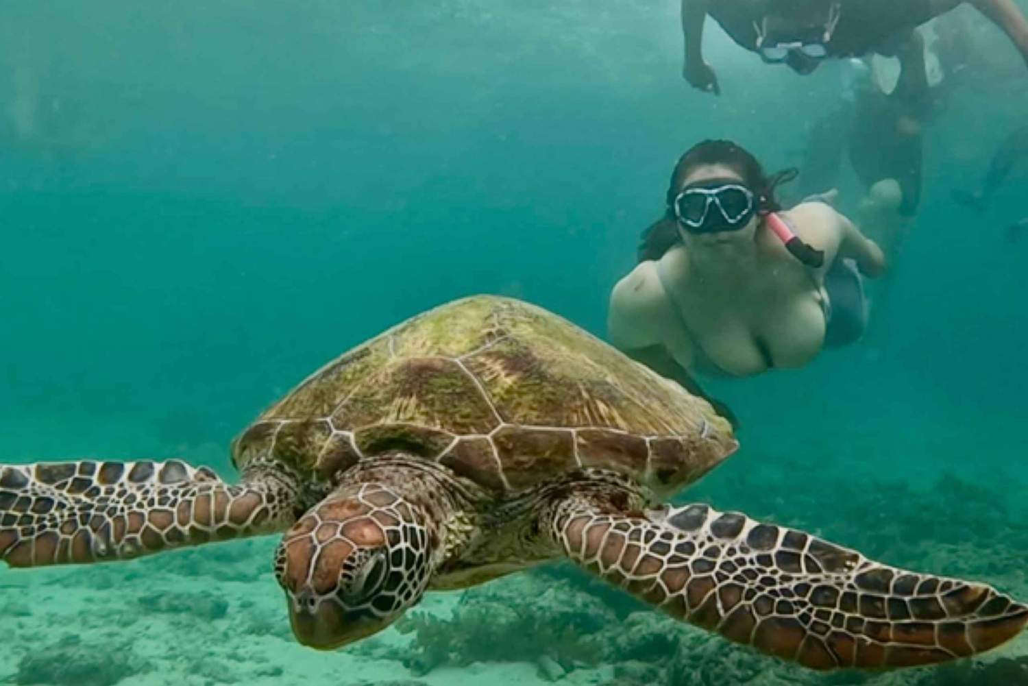 Bali: Snorkel en Blue Lagoon y Tanjung Jepun con almuerzo incluido.