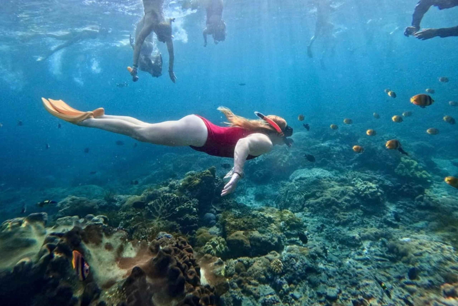 Bali: Snorkel en Blue Lagoon y Tanjung Jepun con almuerzo incluido.