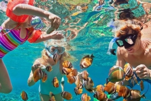 Bali: Snorkling i den blå lagunen og Tanjung Jepun med lunsj