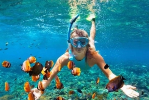 Bali: lagoa azul e mergulho com snorkel em Tanjung Jepun com almoço