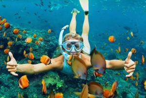 Bali: lagoa azul e mergulho com snorkel em Tanjung Jepun com almoço