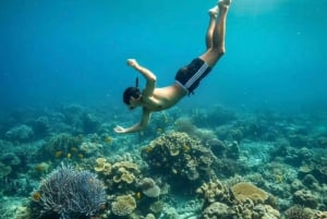 Bali: Blue Lagoon & Tanjung Jepun Snorkeling with Lunch