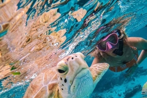 Bali: Snorkel en Blue Lagoon y Tanjung Jepun con almuerzo incluido.