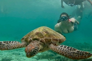 Bali: Snorkel en Blue Lagoon y Tanjung Jepun con almuerzo incluido.