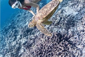 Bali: Snorkel en Blue Lagoon y Tanjung Jepun con almuerzo incluido.