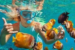 Bali: Snorkel en Blue Lagoon y Tanjung Jepun con almuerzo incluido.