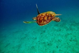 Bali: Snorkel en Blue Lagoon y Tanjung Jepun con almuerzo incluido.