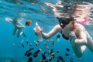 Bali: Snorkel en Blue Lagoon y Tanjung Jepun con almuerzo incluido.