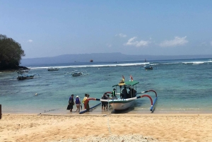 Bali: Snorkel en Blue Lagoon y Tanjung Jepun con almuerzo incluido.