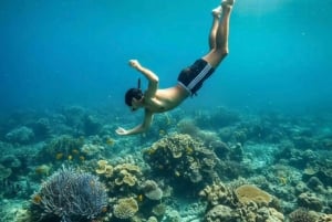 Bali: Snorkel en Blue Lagoon y Tanjung Jepun con almuerzo incluido.