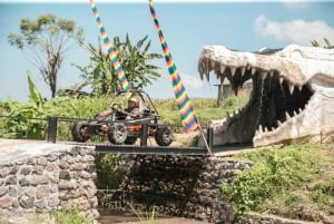 Bali: Buggy Adventure and Jungle Swing Combo