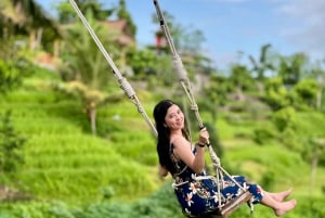 Bali: Buggy Adventure and Jungle Swing Combo