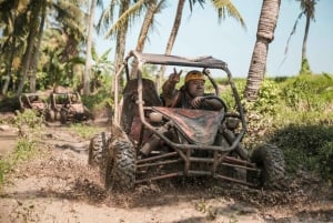 Bali: Buggy Adventure Ride and Waterfall Tour with Lunch