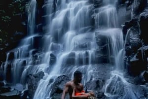 Bali: Buggy Adventure Ride and Waterfall Tour with Lunch