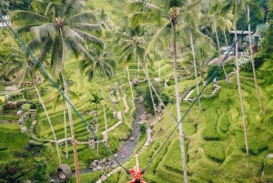 Bali: Buggy Adventure, Sky Bike, and Coffee Plantation Tour