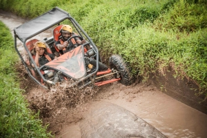 Bali: Buggy Adventure, Sky Bike, and Coffee Plantation Tour