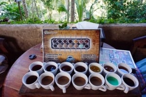 Bali Buggy Adventure with Zip-Line and Coffee Farm Visit