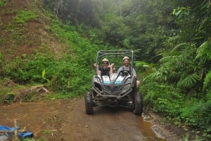 Bali Buggy Discovery Tours Tandem Adult
