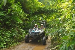 Bali Buggy Discovery Tours Tandem Adult