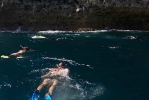 Bali: Snorkleturer til Candidasa med transfer
