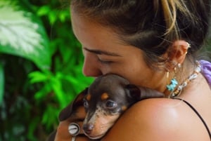 Bali: Canggu Puppy Yoga Class med uppfriskande drycker